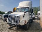2017 Freightliner Cascadia 125  for Sale in West Warren, MA - Side