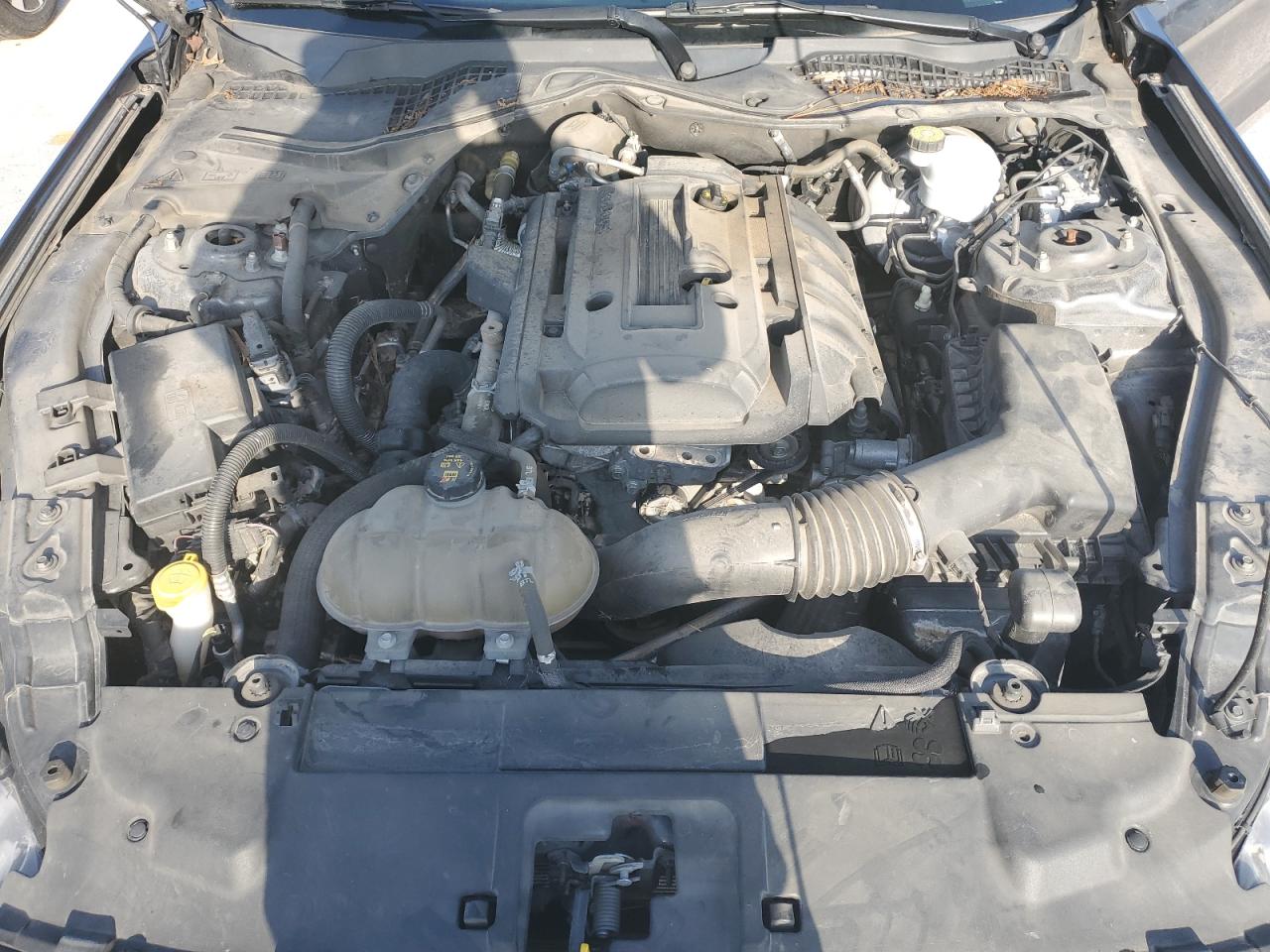 2019 Ford Mustang VIN: 1FA6P8TH1K5174855 Lot: 56616884