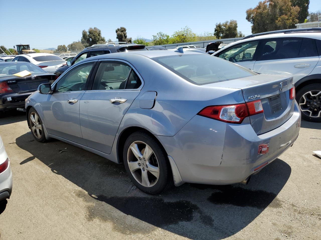 2009 Acura Tsx VIN: JH4CU26609C033891 Lot: 53120534