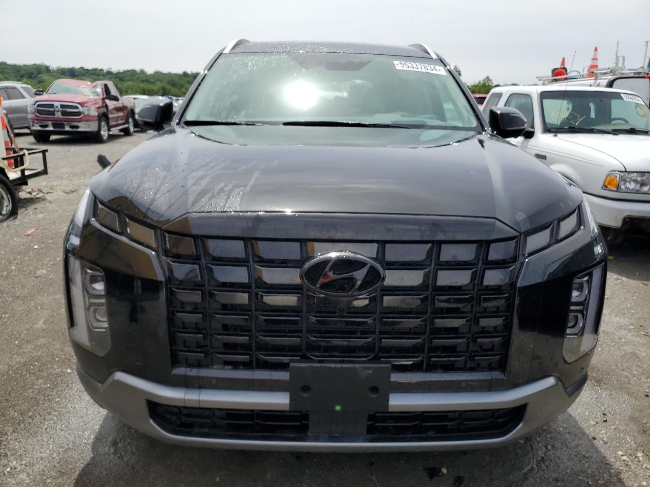 2024 Hyundai Palisade Limited VIN: KM8R5DGE8RU736154 Lot: 55337834