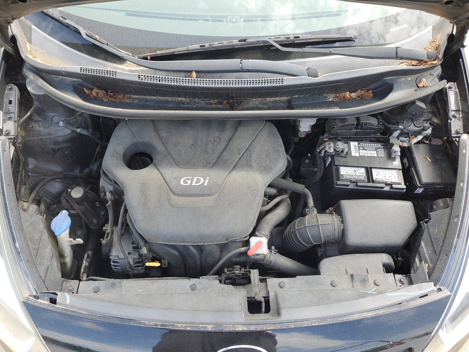 KNADM4A31E6402486 2014 Kia Rio Lx