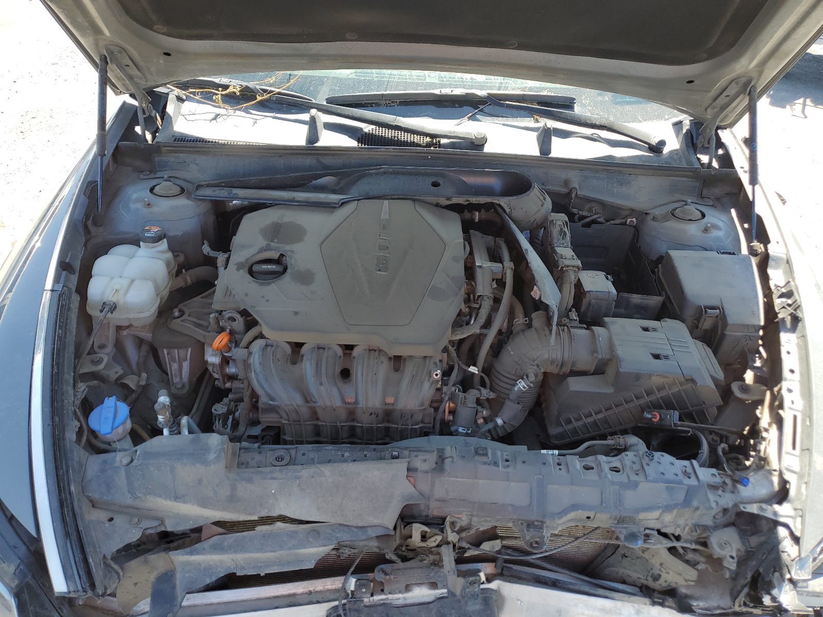 5NPEG4JA6MH114223 2021 Hyundai Sonata Se