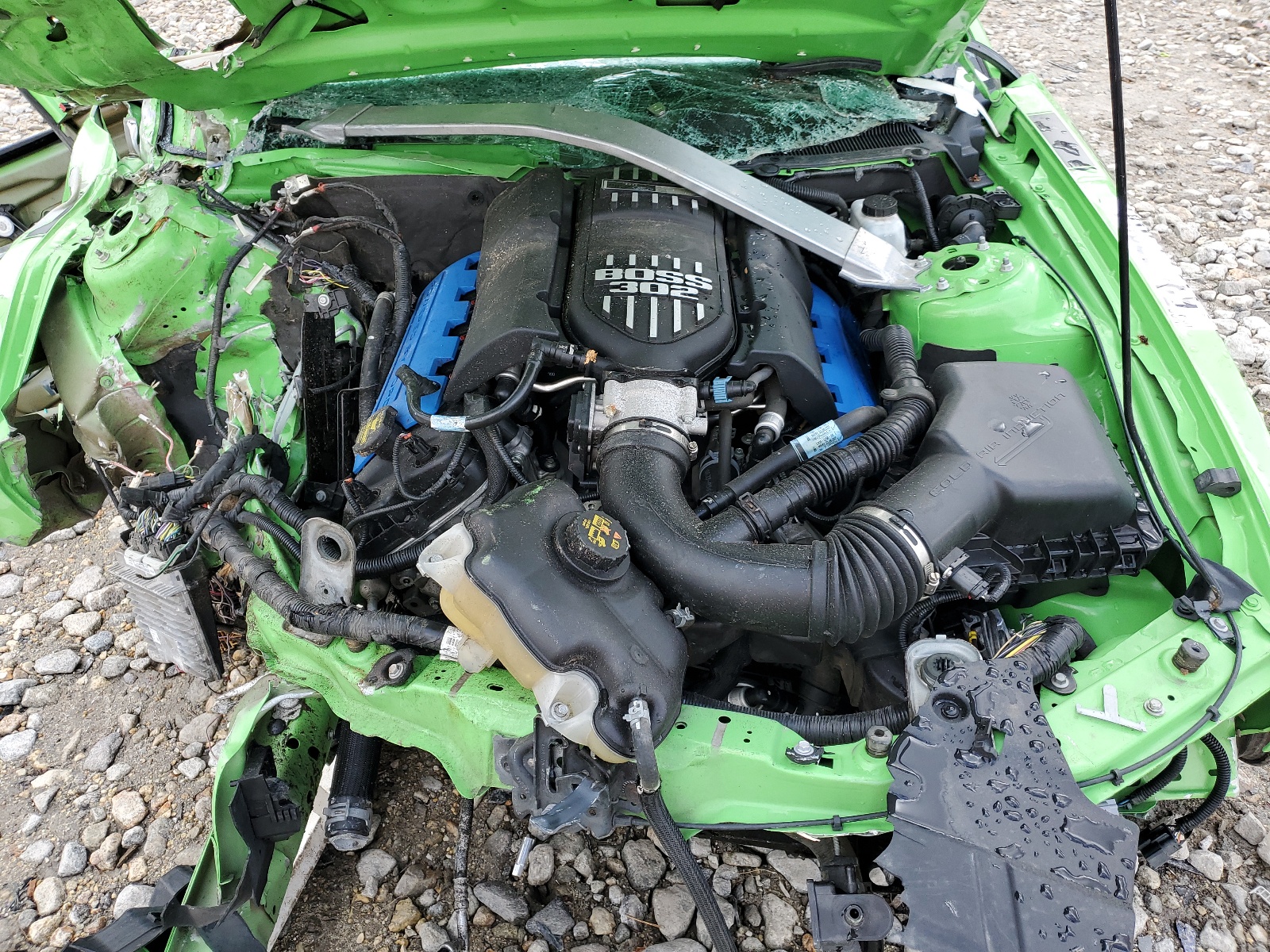 1ZVBP8CU3D5211099 2013 Ford Mustang Boss 302