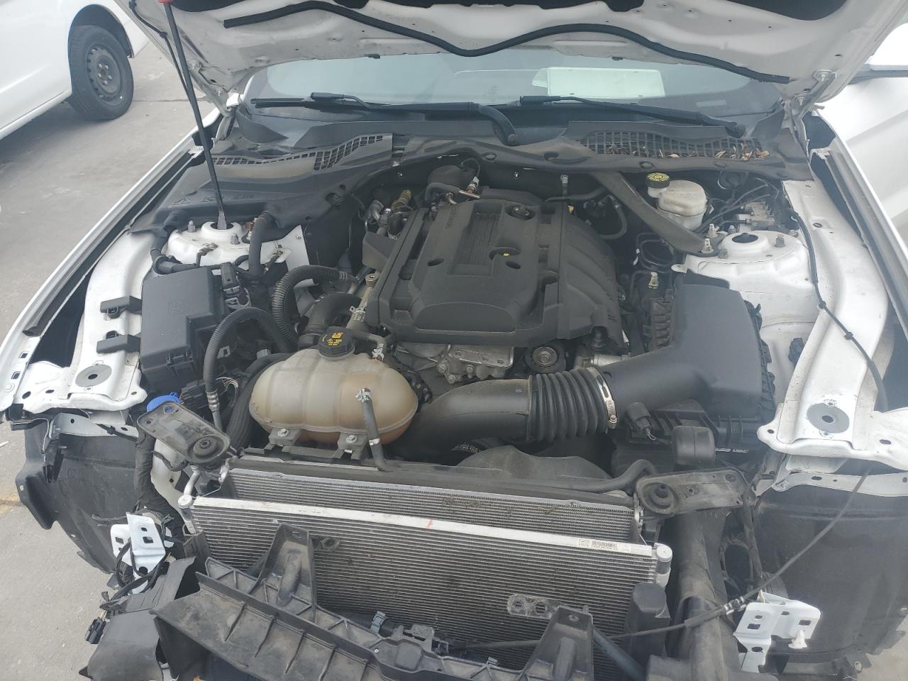 2020 Ford Mustang VIN: 1FATP8UH7L5111813 Lot: 53764334