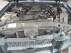 2004 Ford Explorer Sport Trac  за продажба в Moraine, OH - Front End