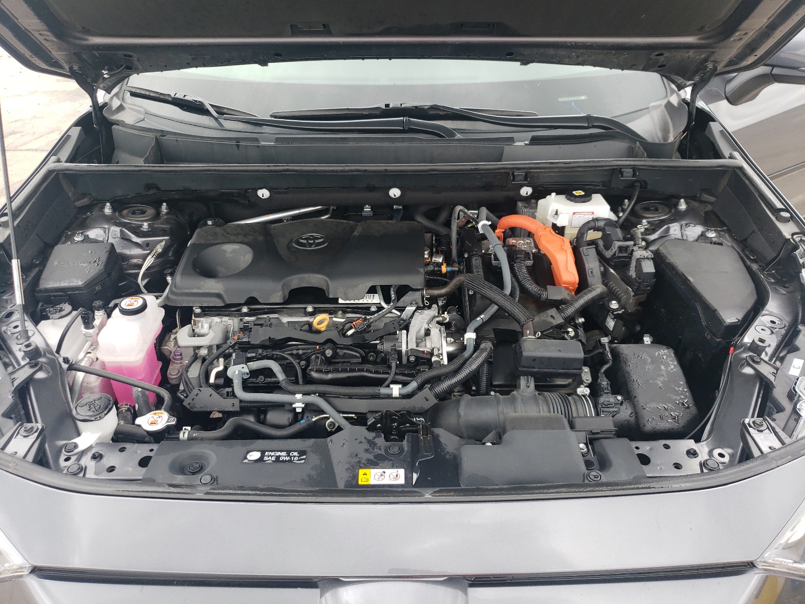 4T3RWRFV6MU044891 2021 Toyota Rav4 Xle