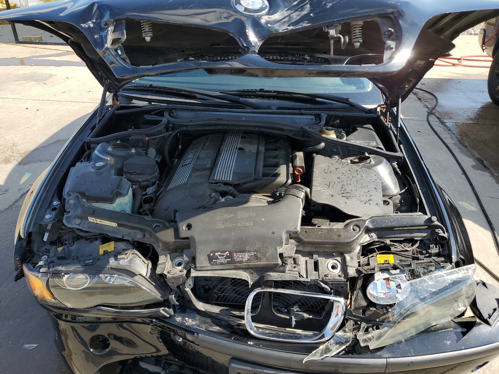 WBAEV33493KL86494 2003 BMW 325 I