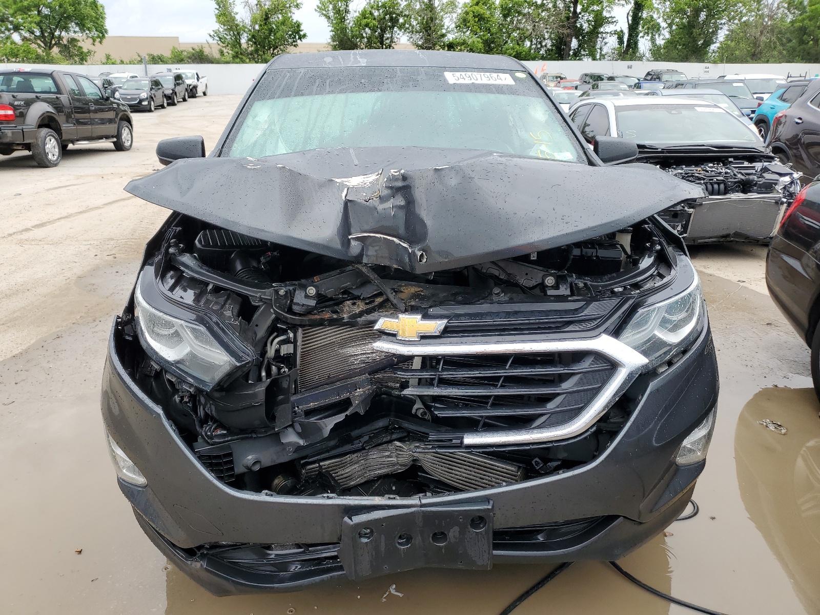 2019 Chevrolet Equinox Ls vin: 2GNAXHEV2K6143536