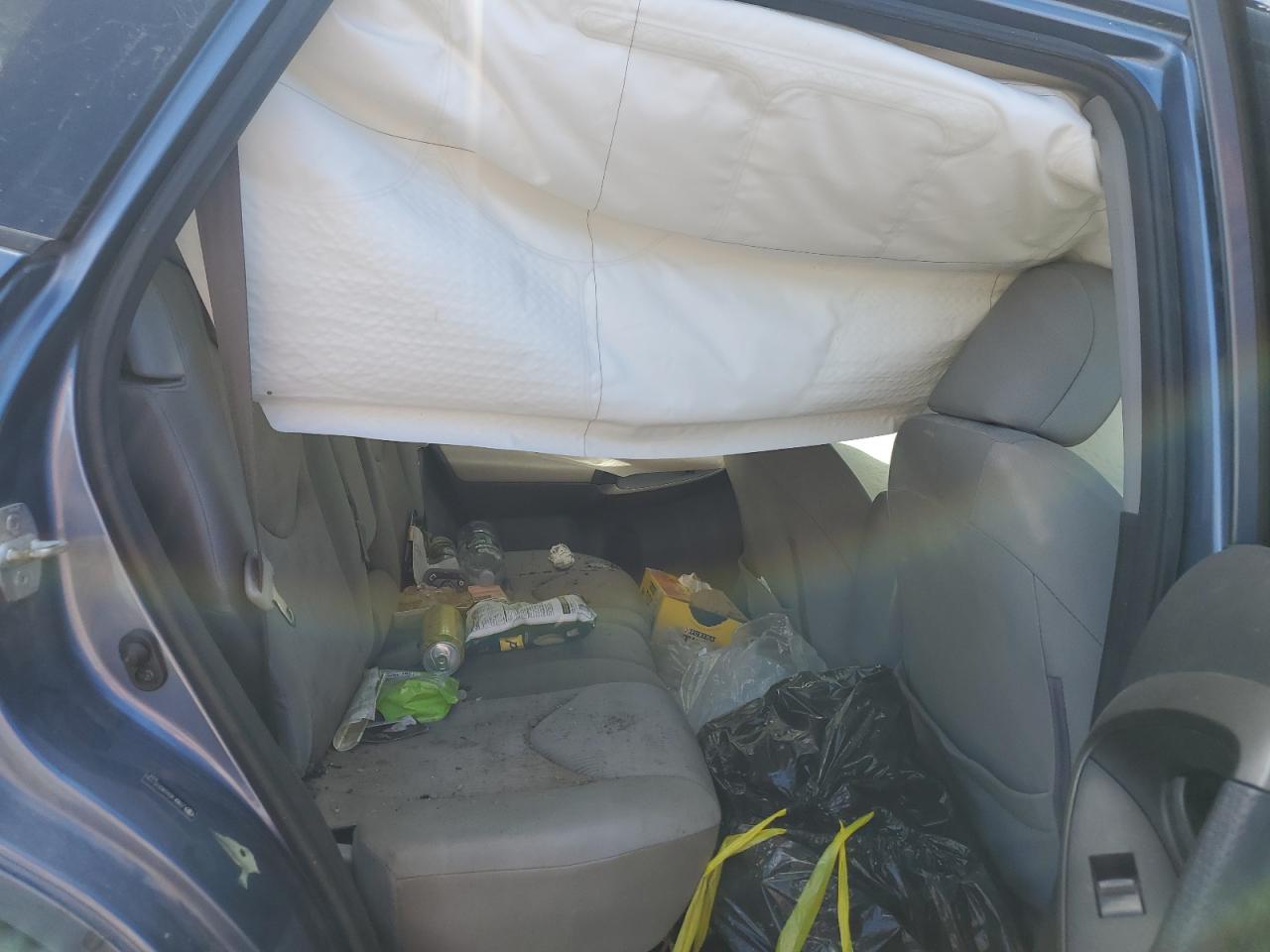 2010 Toyota Rav4 VIN: JTMBF4DV2AD031930 Lot: 56461784