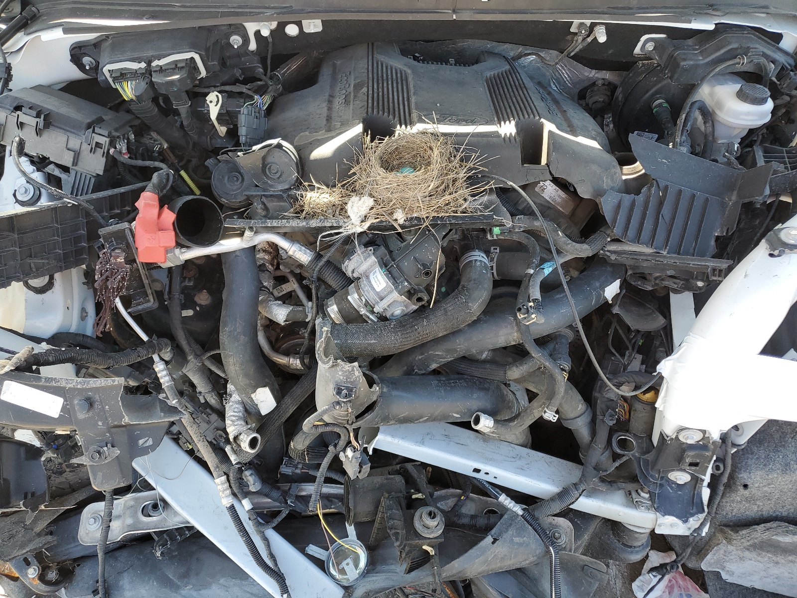 1FMJK1JT6JEA42542 2018 Ford Expedition Max Xlt