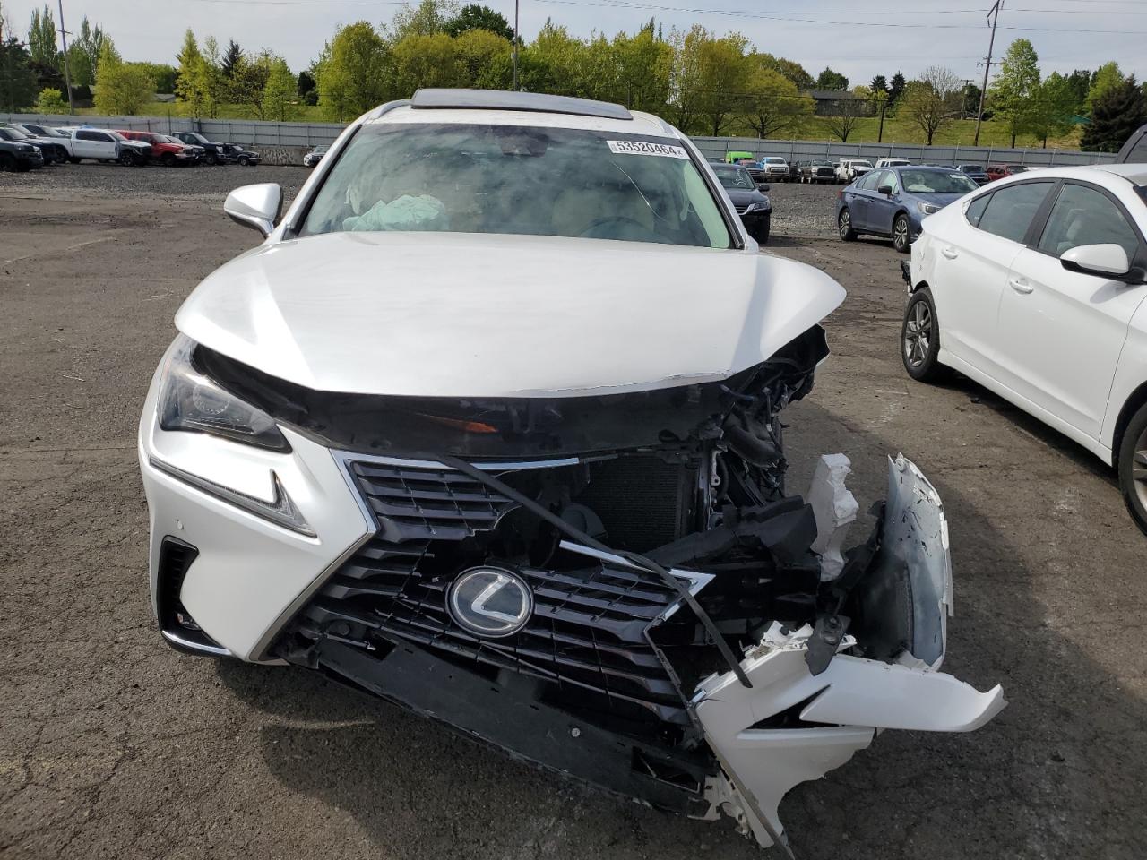 2019 Lexus Nx 300 Base VIN: JTJYARBZ3K2136661 Lot: 53520464