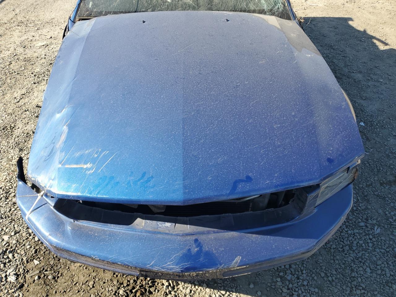 2009 Ford Mustang VIN: 1ZVHT80NX95123953 Lot: 56860804