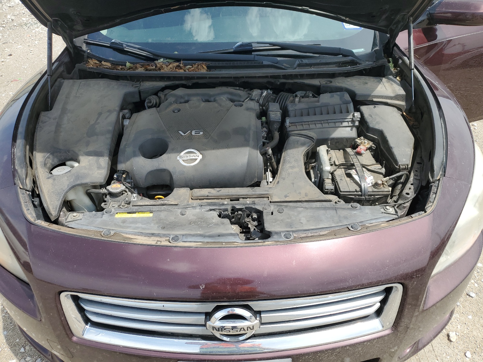 1N4AA5AP6EC451066 2014 Nissan Maxima S