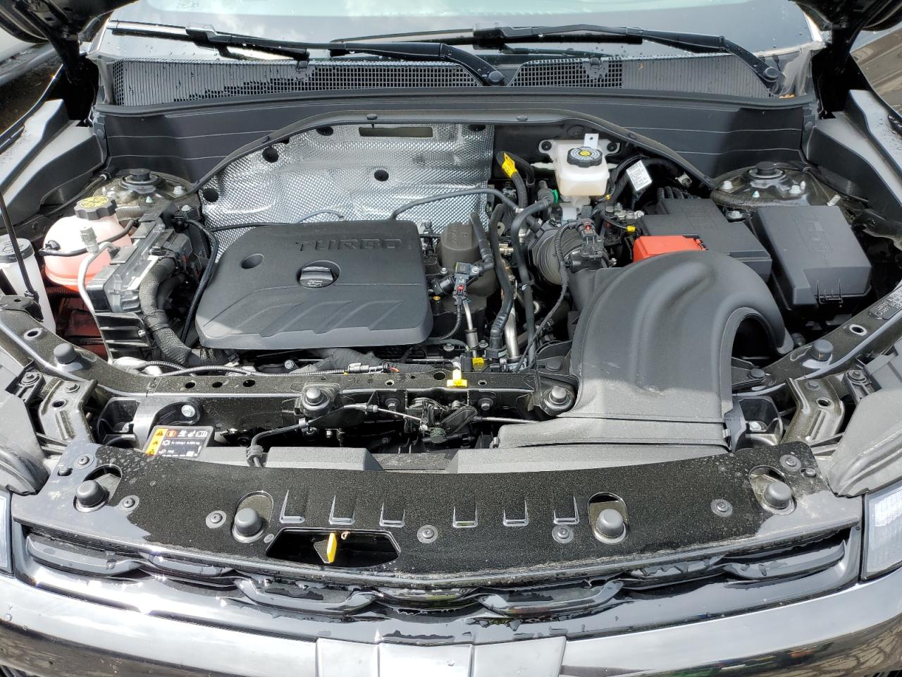 2024 Chevrolet Trailblazer Rs VIN: KL79MUSL5RB113483 Lot: 56808444