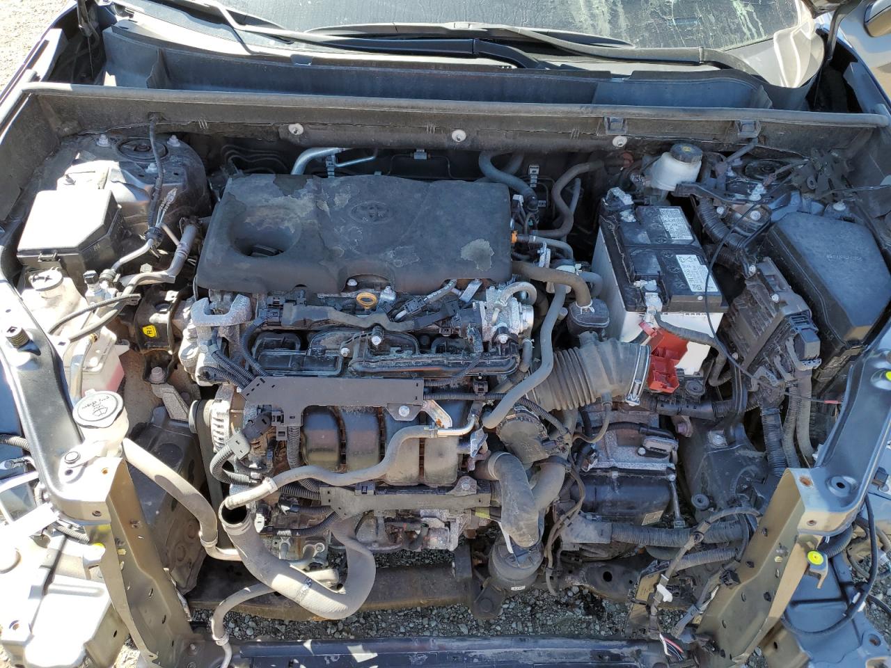 2022 Toyota Rav4 Le VIN: 2T3B1RFV8NC290845 Lot: 57218284