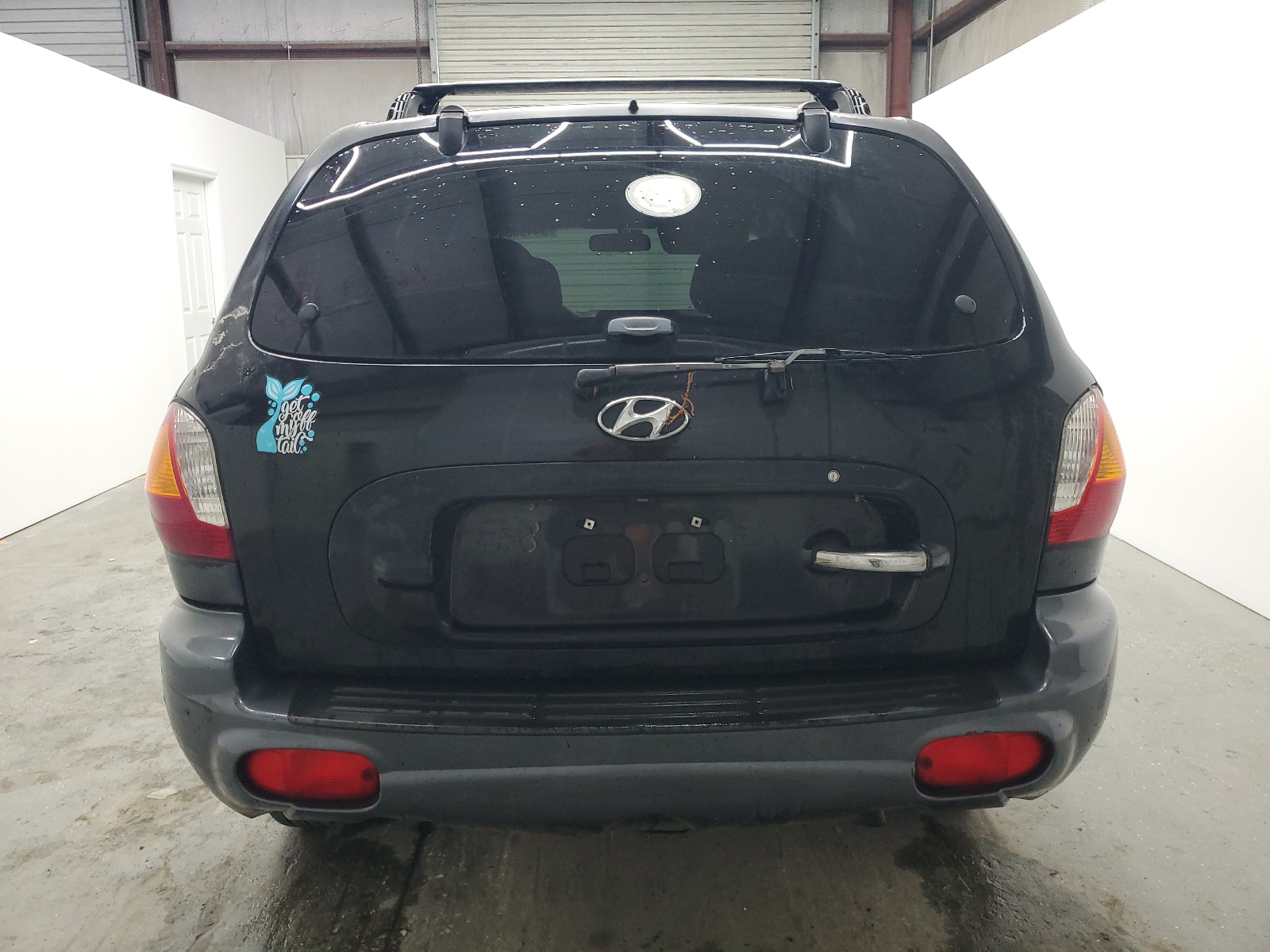 KM8SC13D44U595157 2004 Hyundai Santa Fe Gls