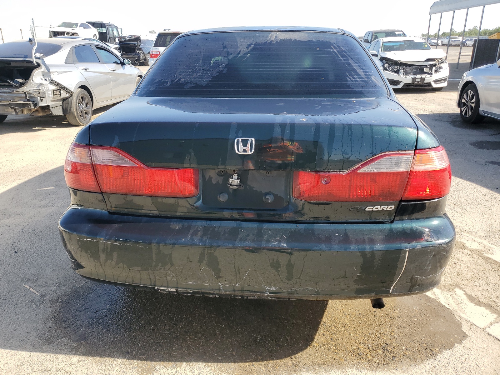 JHMCG6651XC008081 1999 Honda Accord Lx