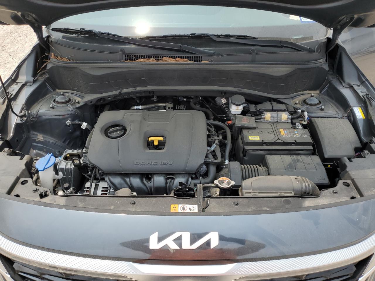 2023 Kia Seltos S VIN: KNDEU2AA8P7372653 Lot: 56050344