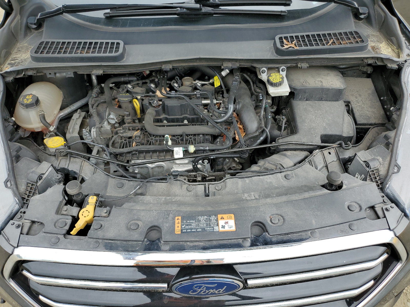 1FMCU9GD9KUA09172 2019 Ford Escape Se