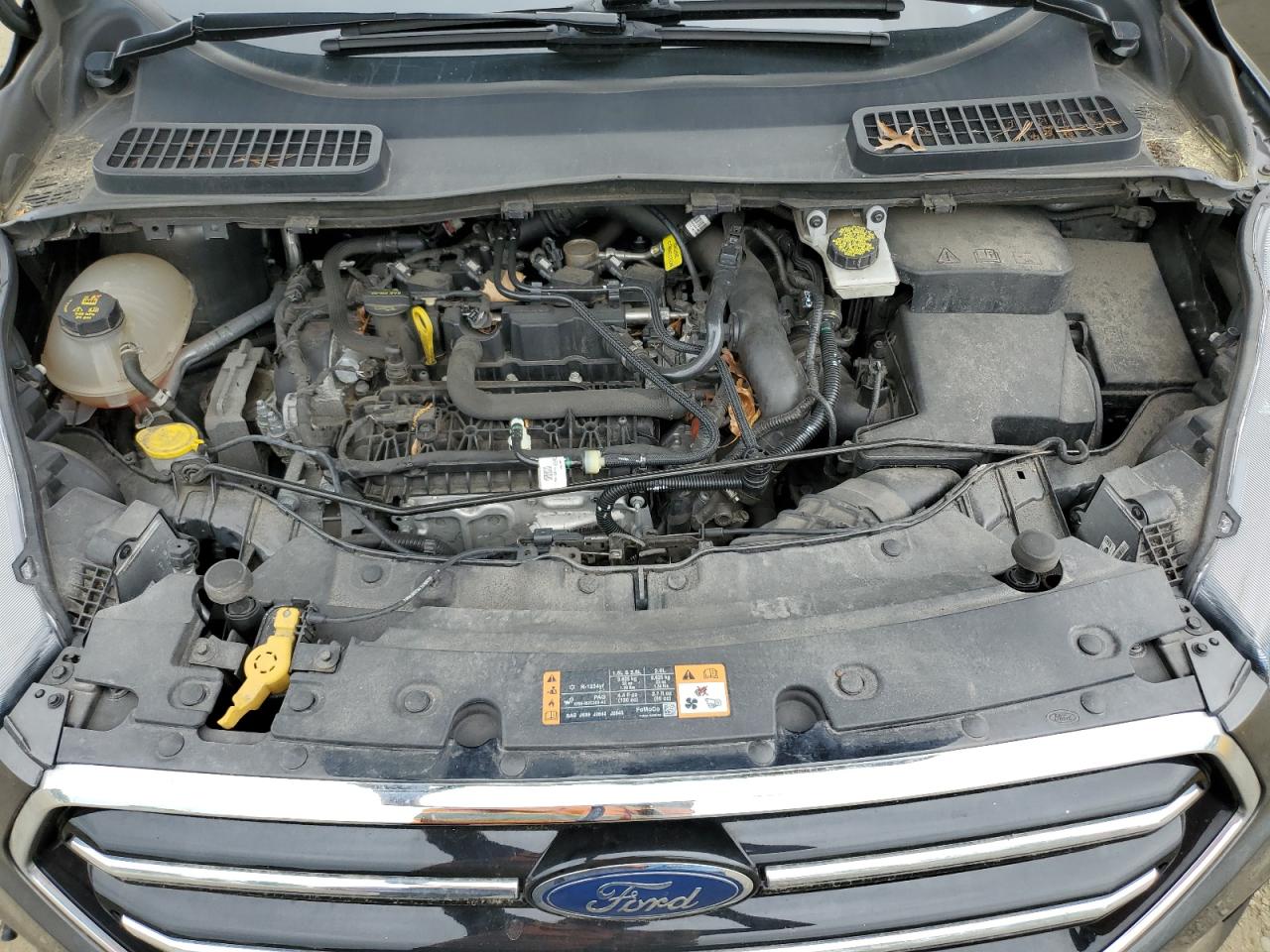 2019 Ford Escape Se VIN: 1FMCU9GD9KUA09172 Lot: 54345904