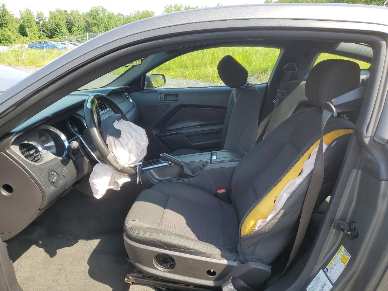 2014 Ford Mustang VIN: 1ZVBP8AM6E5240827 Lot: 55857924