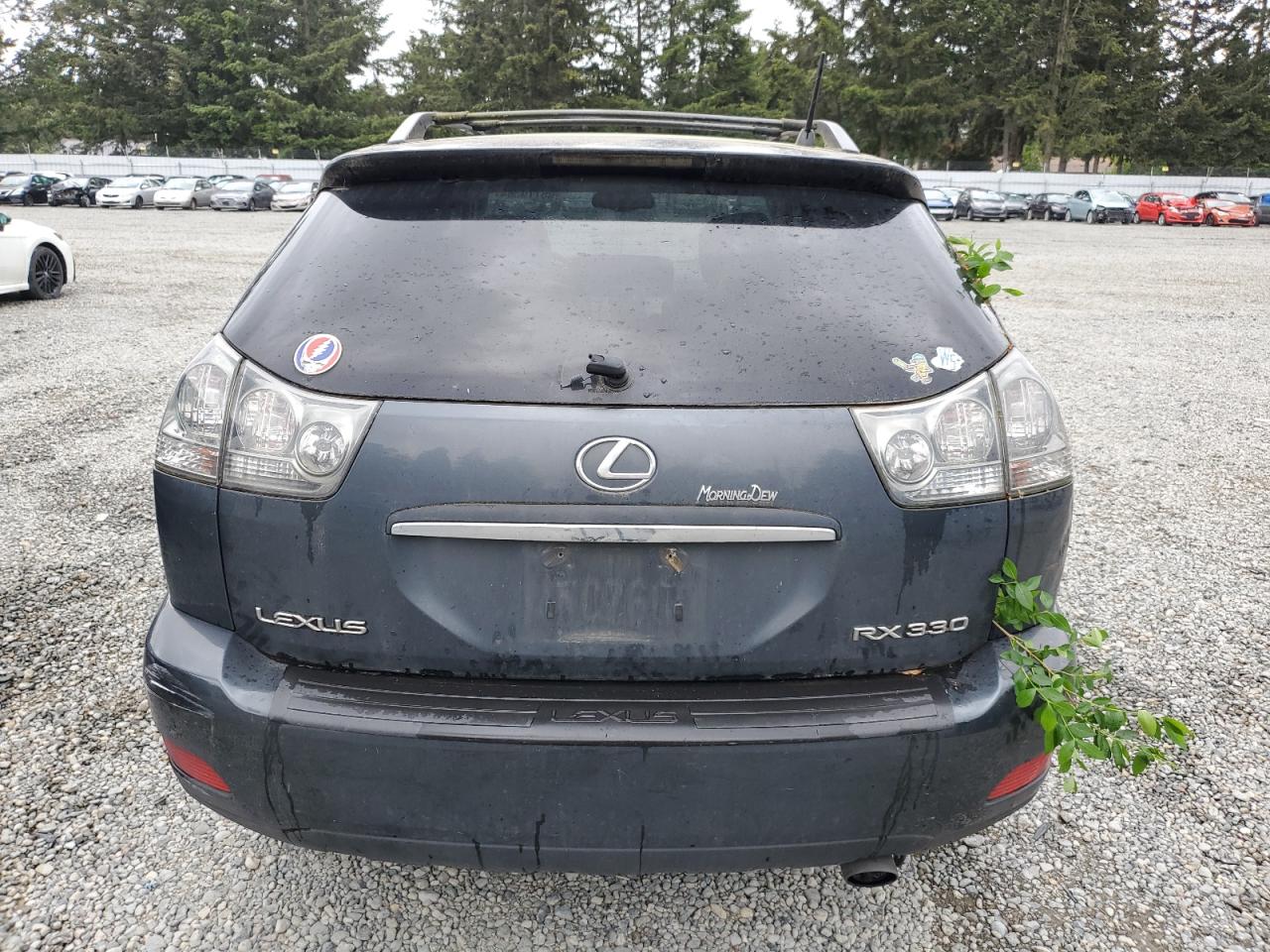 2004 Lexus Rx 330 VIN: JTJHA31U740065207 Lot: 56770384