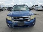 2008 Ford Escape Xlt   for Sale in Greenwell Springs, LA - Front End