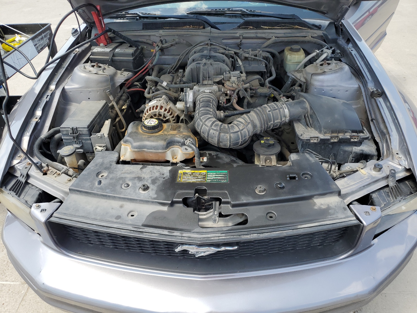 1ZVFT80N365179574 2006 Ford Mustang