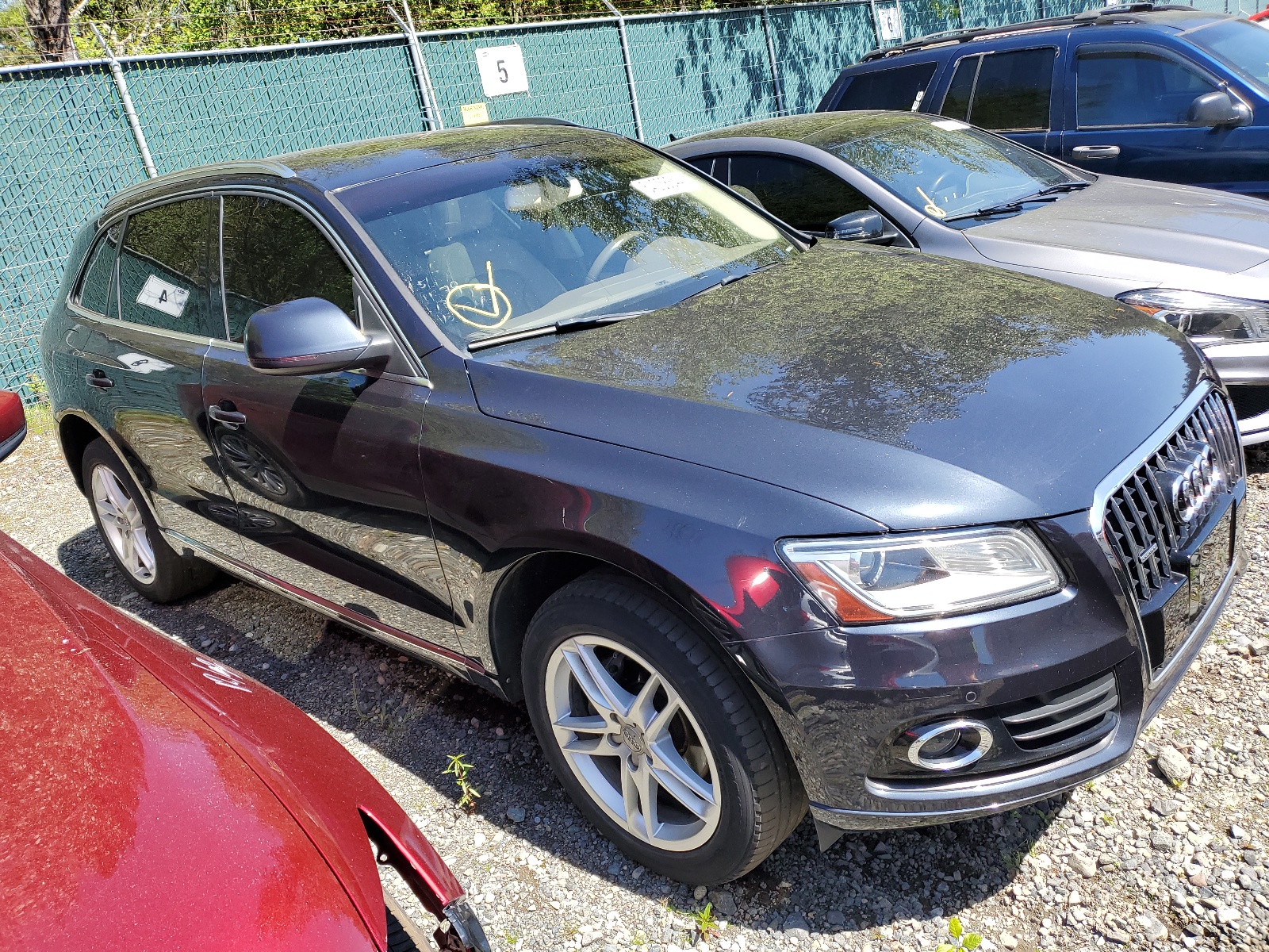 2013 Audi Q5 Premium Plus vin: WA1LFAFP2DA101072