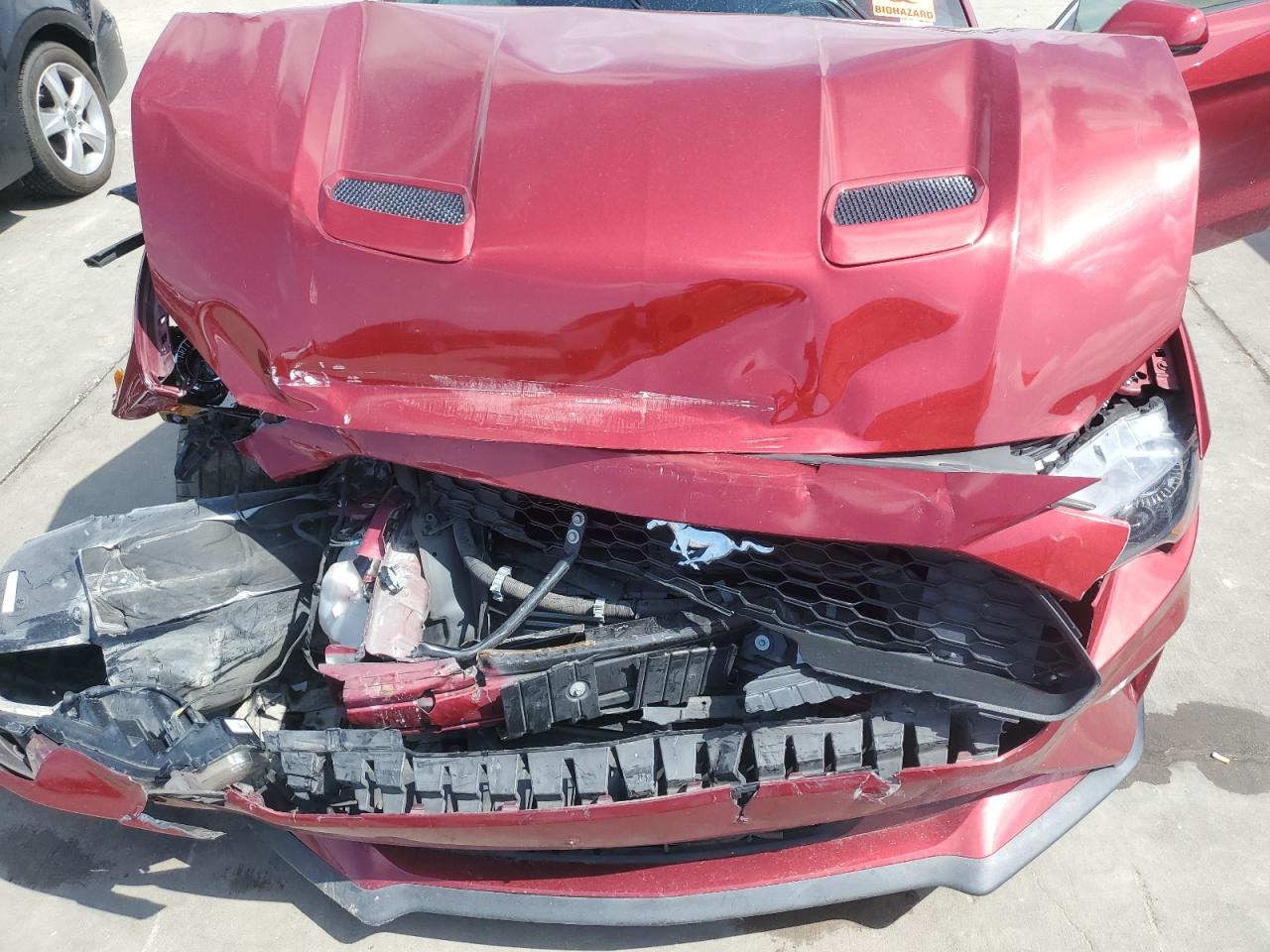 2019 Ford Mustang VIN: 1FA6P8TH0K5117921 Lot: 53576254