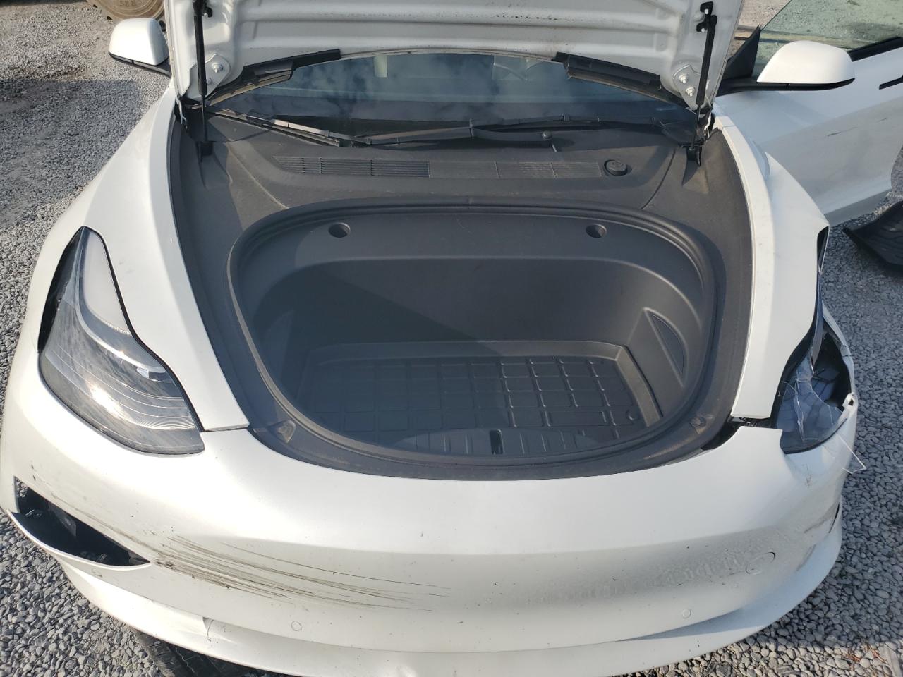 2022 Tesla Model 3 VIN: 5YJ3E1EA1NF376110 Lot: 54187944