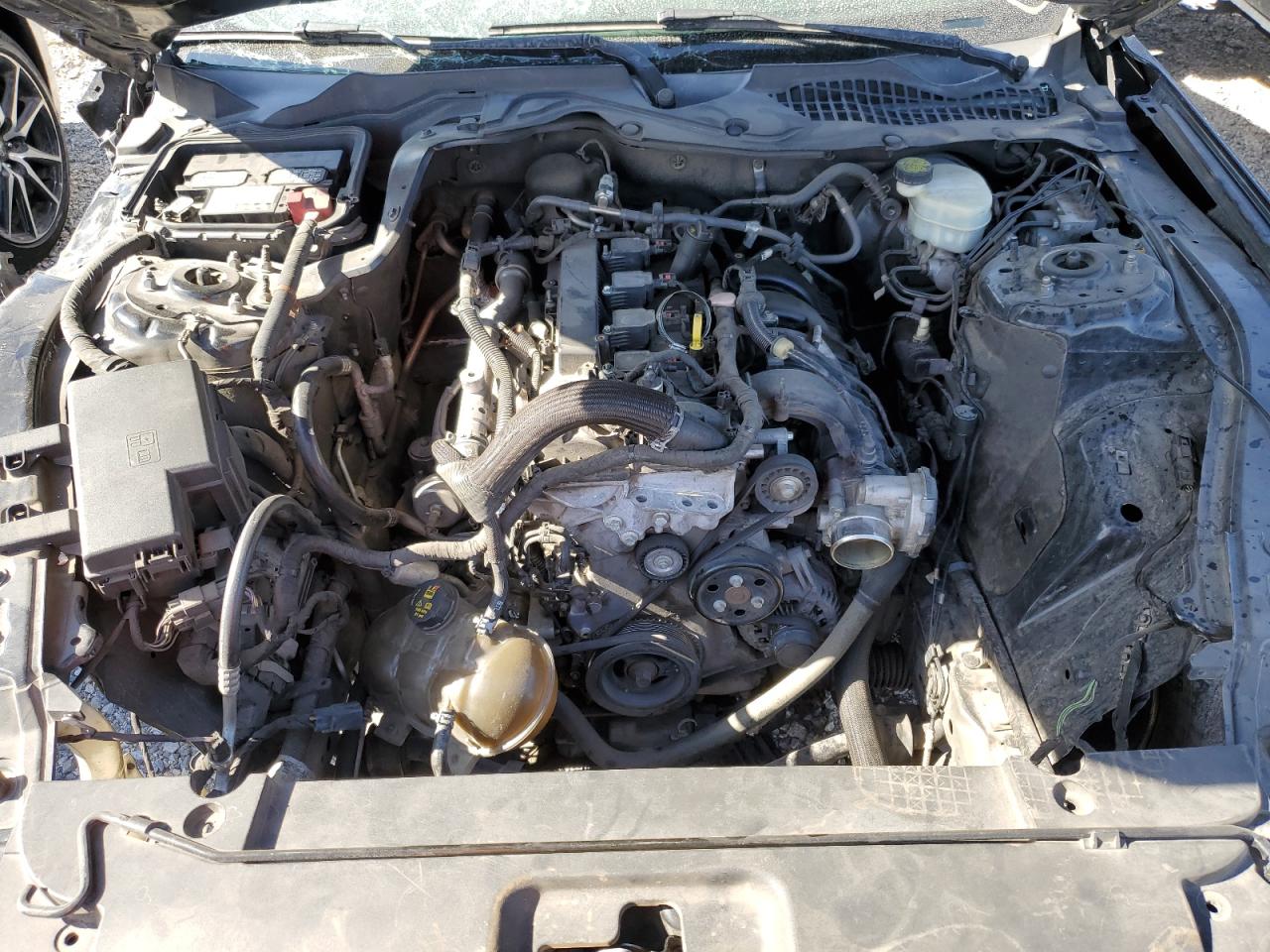 2016 Ford Mustang VIN: 1FA6P8TH0G5212051 Lot: 55724854