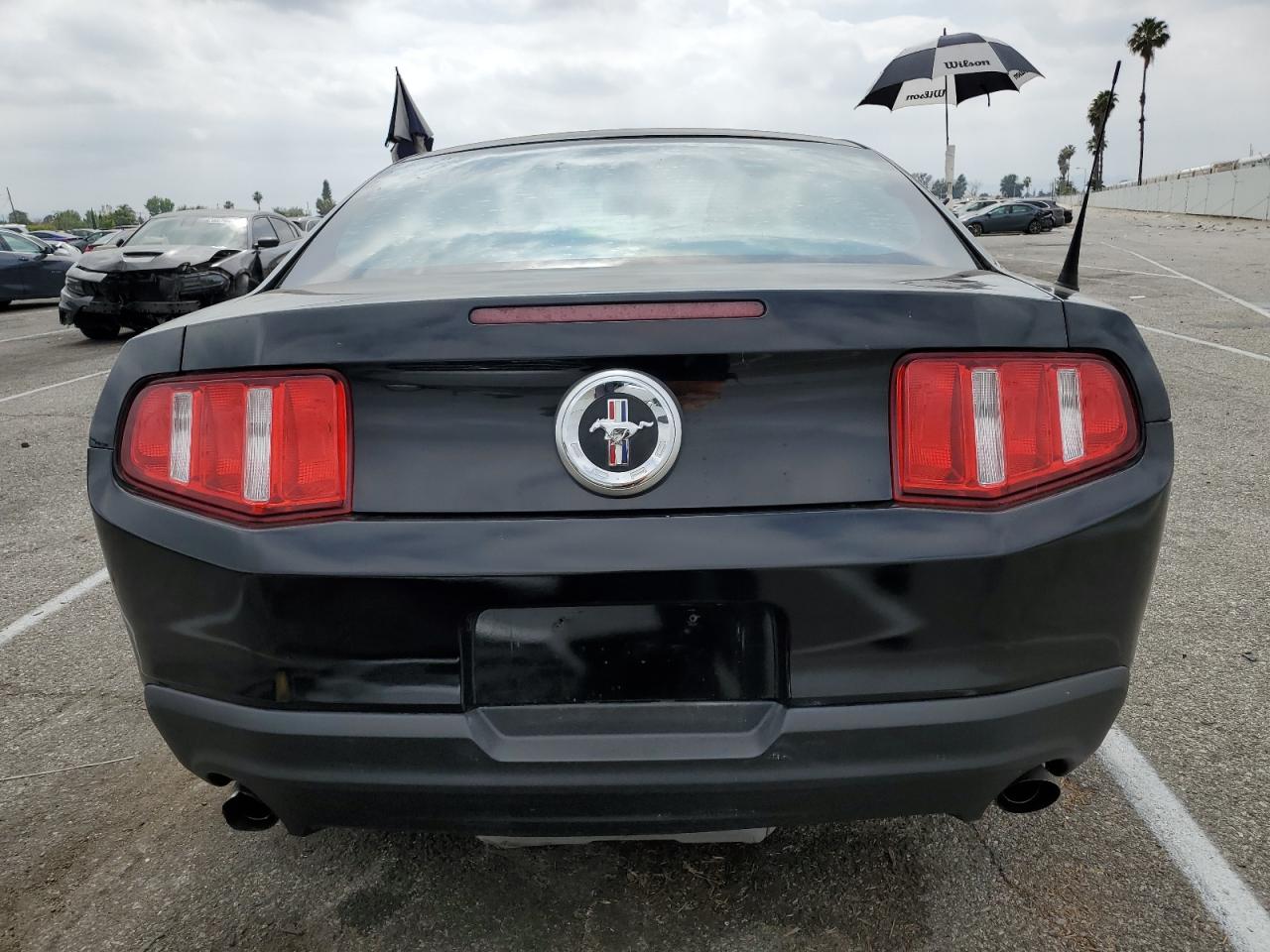 2012 Ford Mustang VIN: 1ZVBP8AM6C5254336 Lot: 56457104