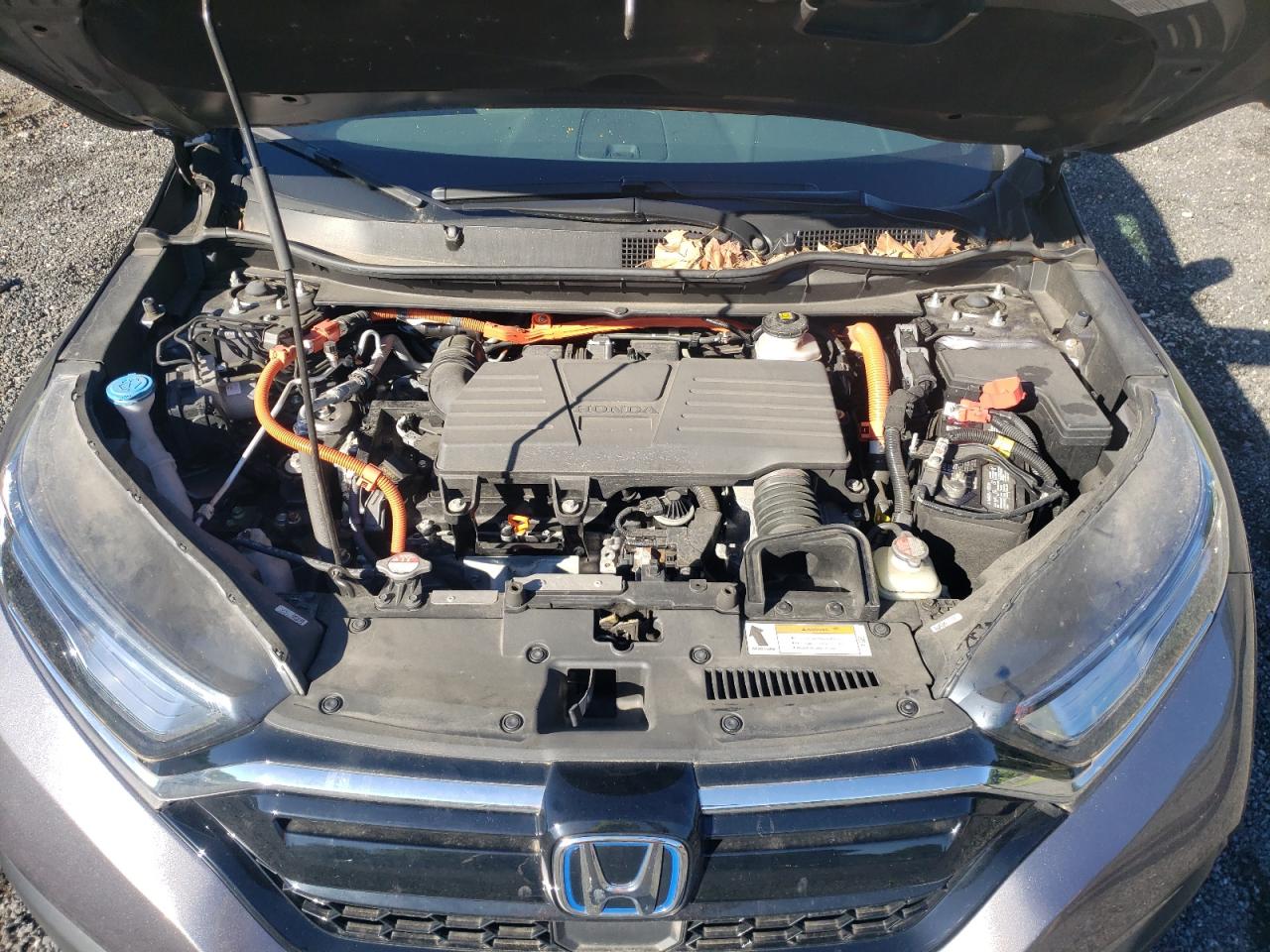 2021 Honda Cr-V Exl VIN: 7FART6H80ME031725 Lot: 54344464