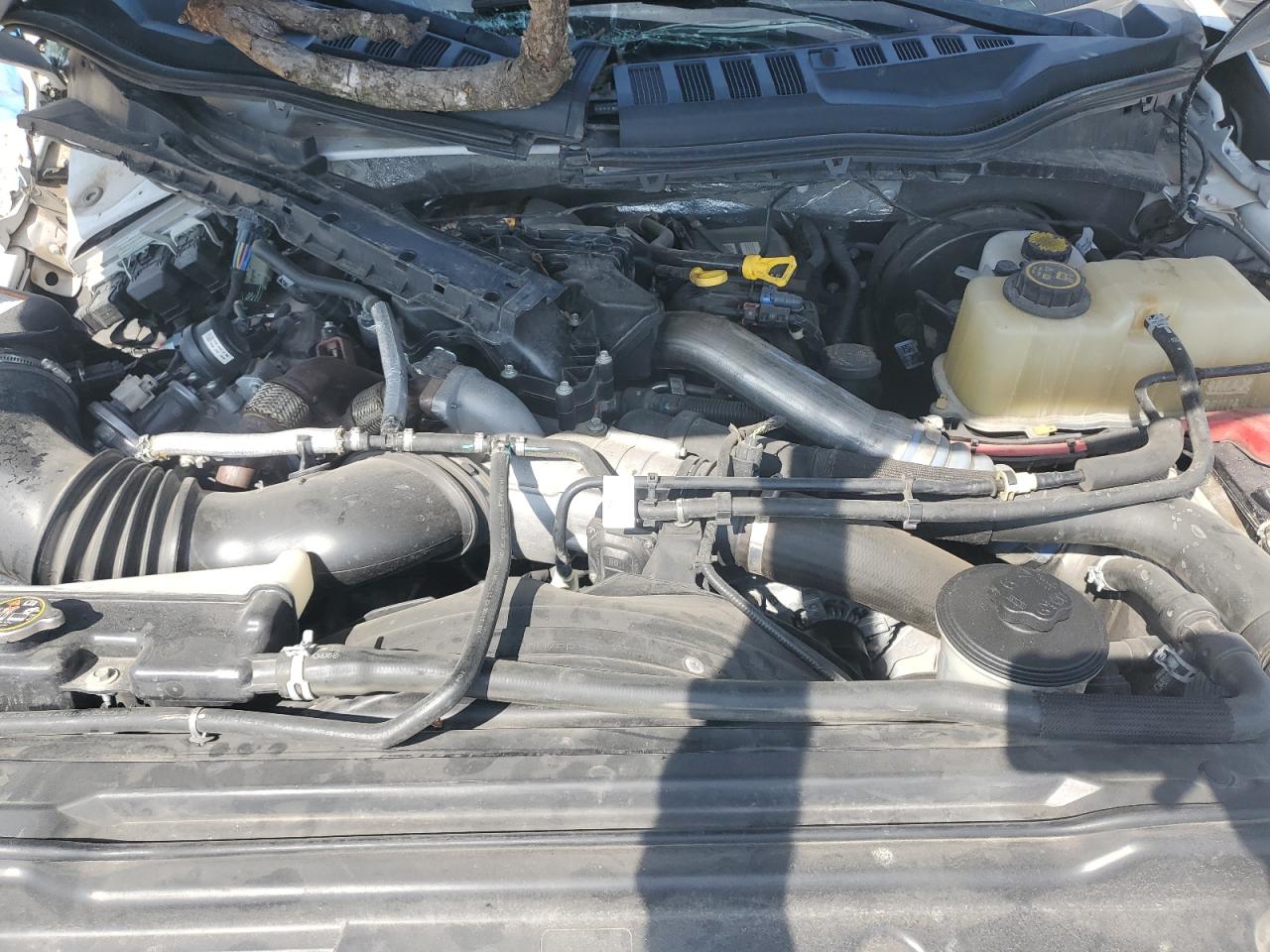 2019 Ford F350 Super Duty VIN: 1FT8W3BTXKEF77036 Lot: 55152994