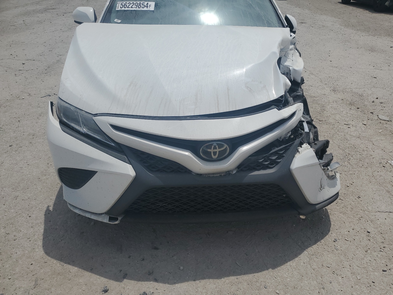 4T1B11HK3KU782089 2019 Toyota Camry L