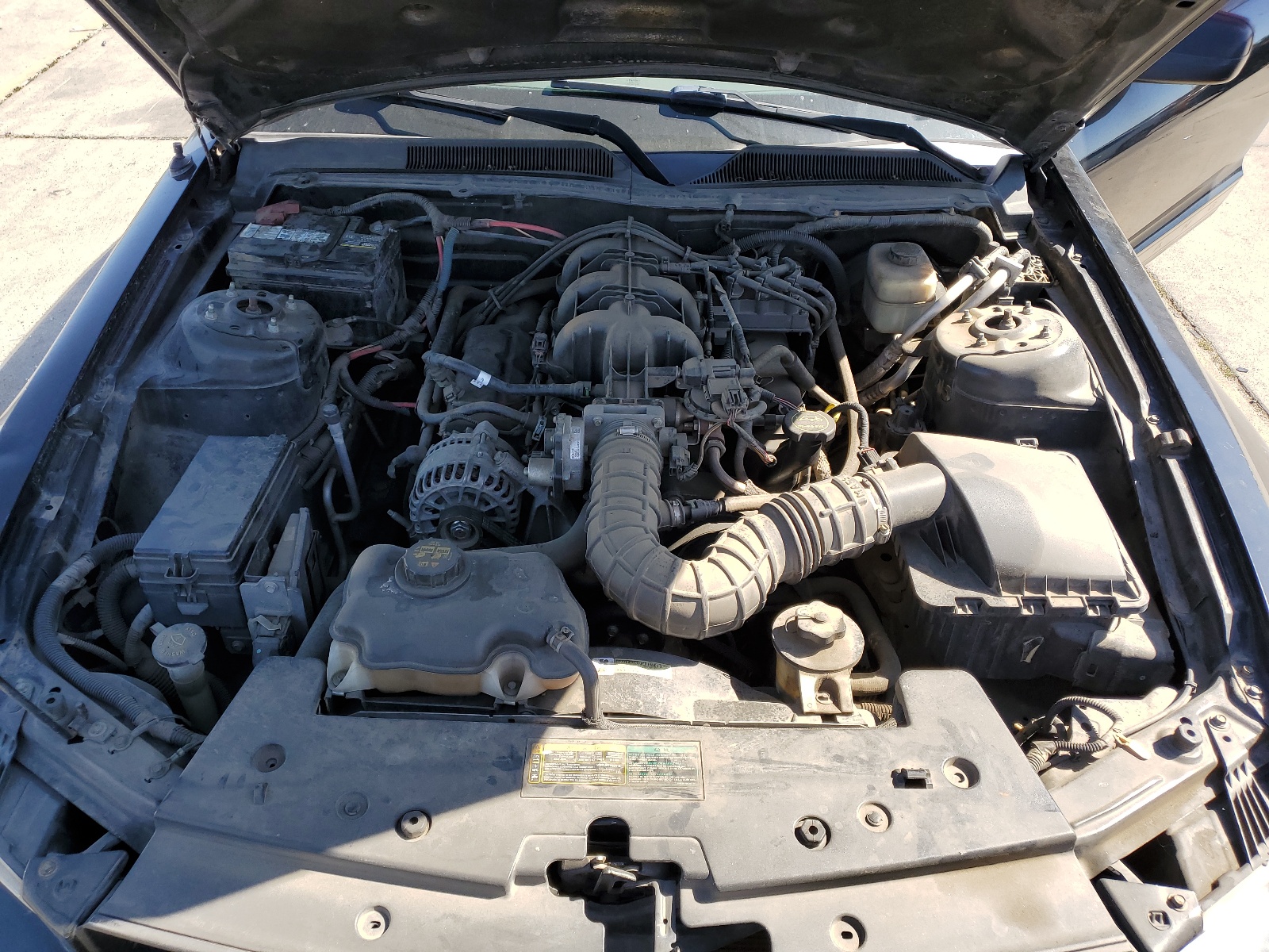 1ZVHT80N085145619 2008 Ford Mustang