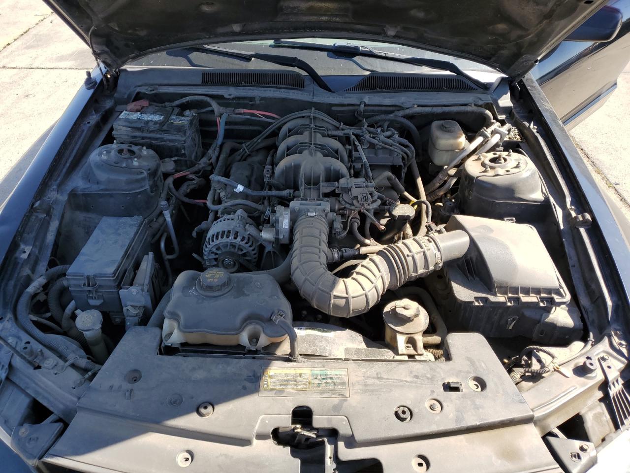 2008 Ford Mustang VIN: 1ZVHT80N085145619 Lot: 55026054