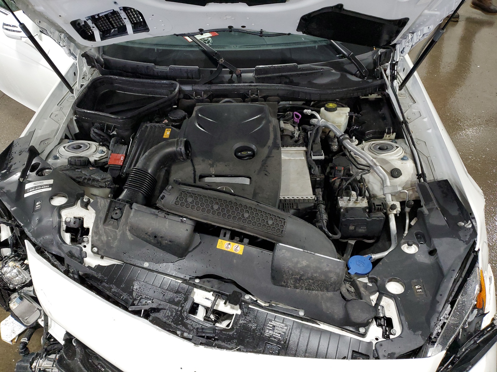 WDDPK3JA6KF160018 2019 Mercedes-Benz Slc 300