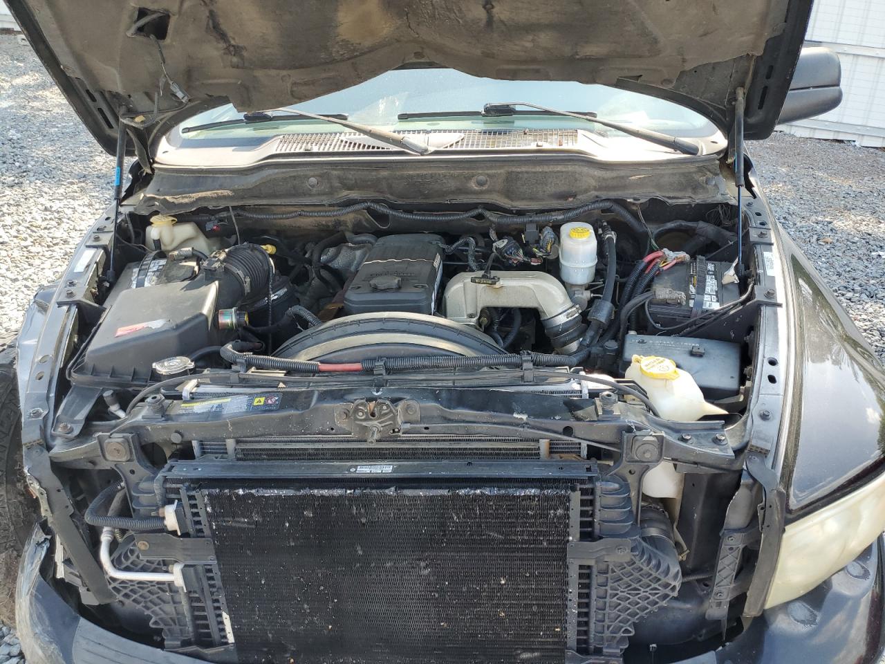 2005 Dodge Ram 3500 St VIN: 3D7MR48C55G803117 Lot: 56386094