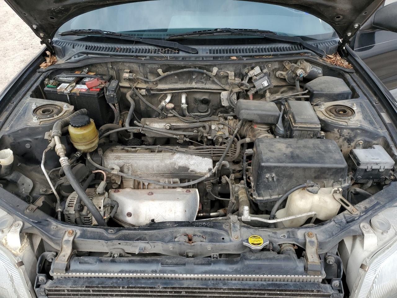 1997 Toyota Rav4 VIN: JT3GP10V3V7015297 Lot: 54012704