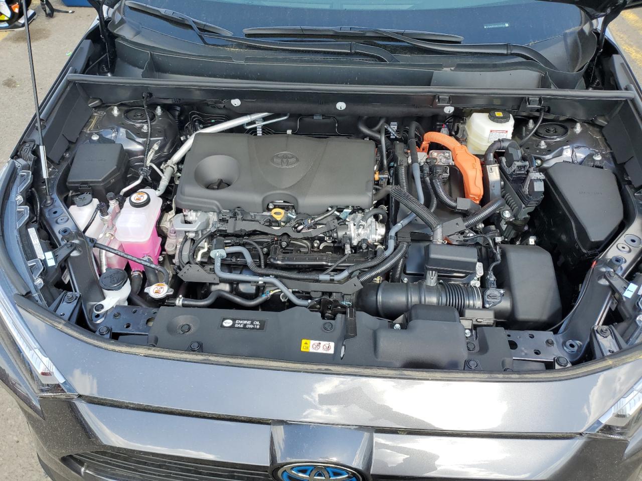 2024 Toyota Rav4 Xle VIN: 4T3RWRFV0RU122735 Lot: 53240194