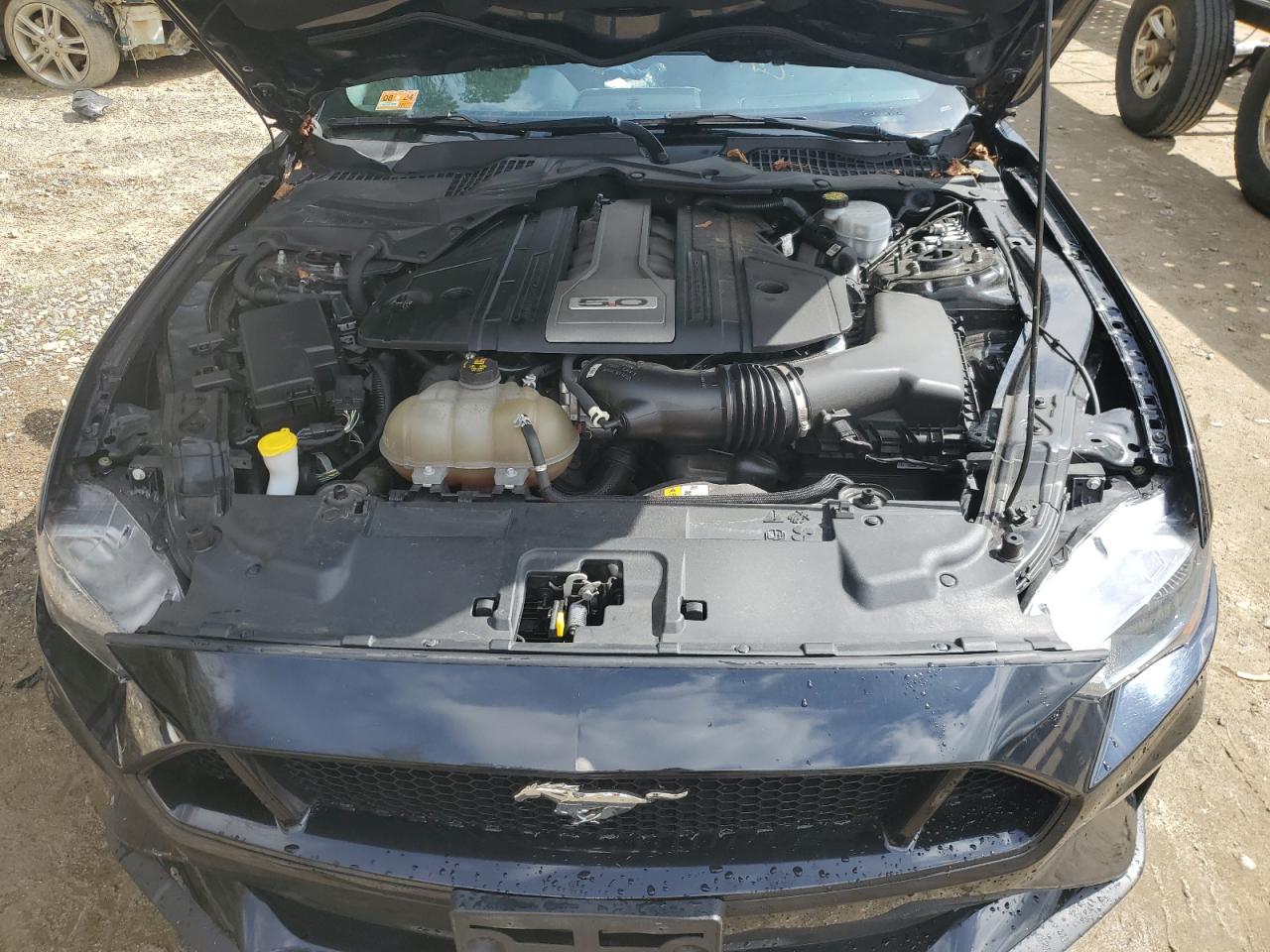 2018 Ford Mustang Gt VIN: 1FA6P8CF1J5129556 Lot: 53620094