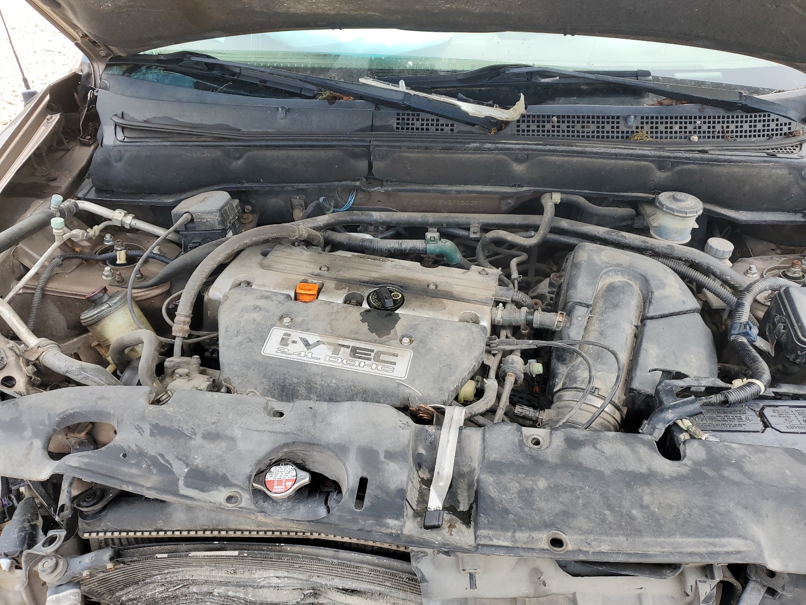 JHLRD77542C020097 2002 Honda Cr-V Lx