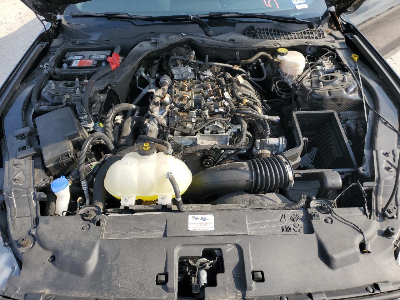 2021 Ford Mustang VIN: 1FA6P8TH2M5151359 Lot: 56062164