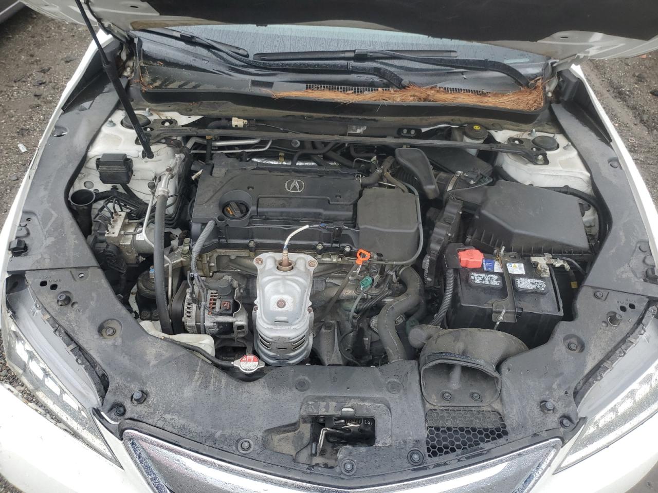 19UUB1F34FA008366 2015 Acura Tlx