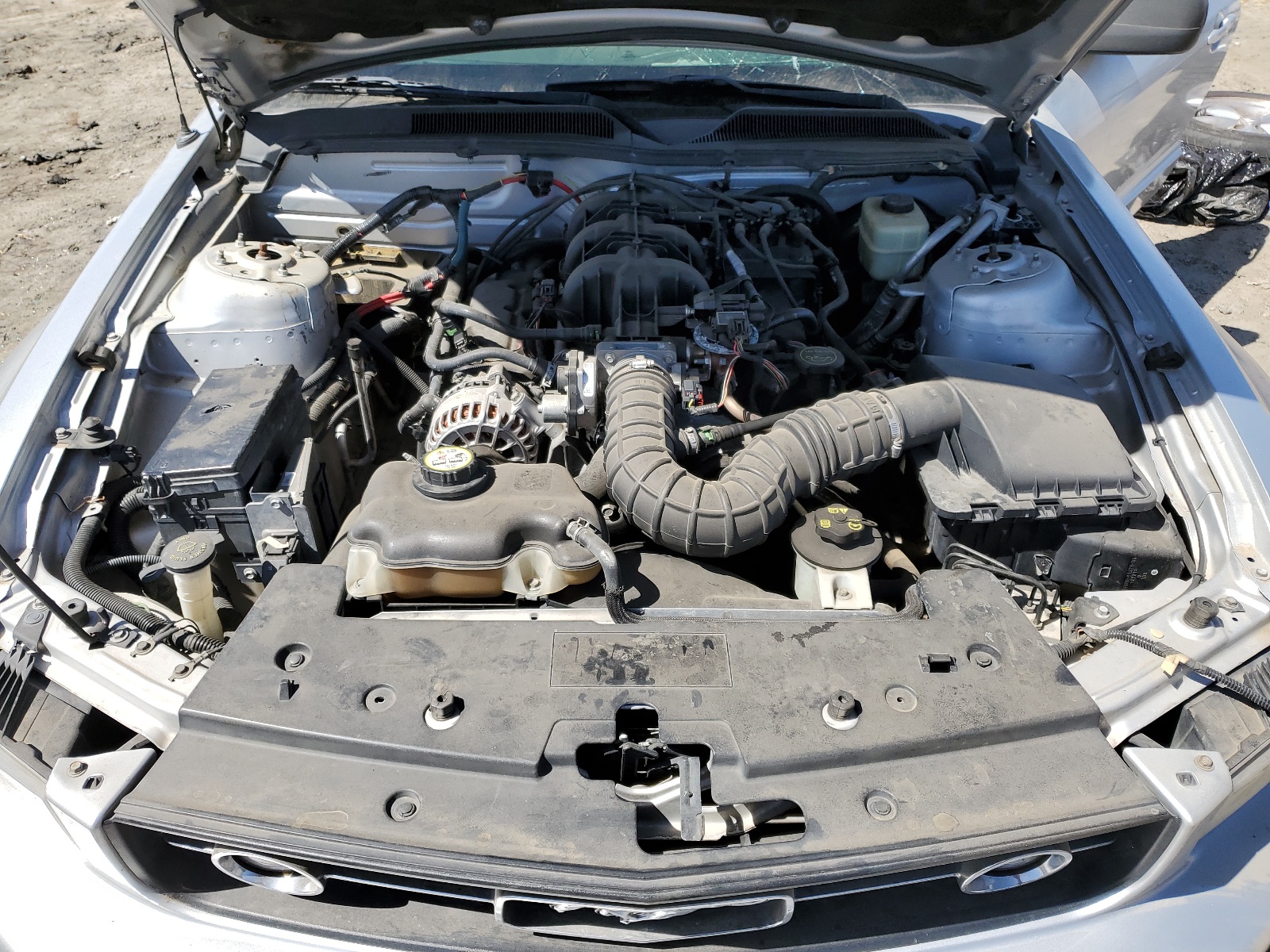 1ZVHT80N485166165 2008 Ford Mustang