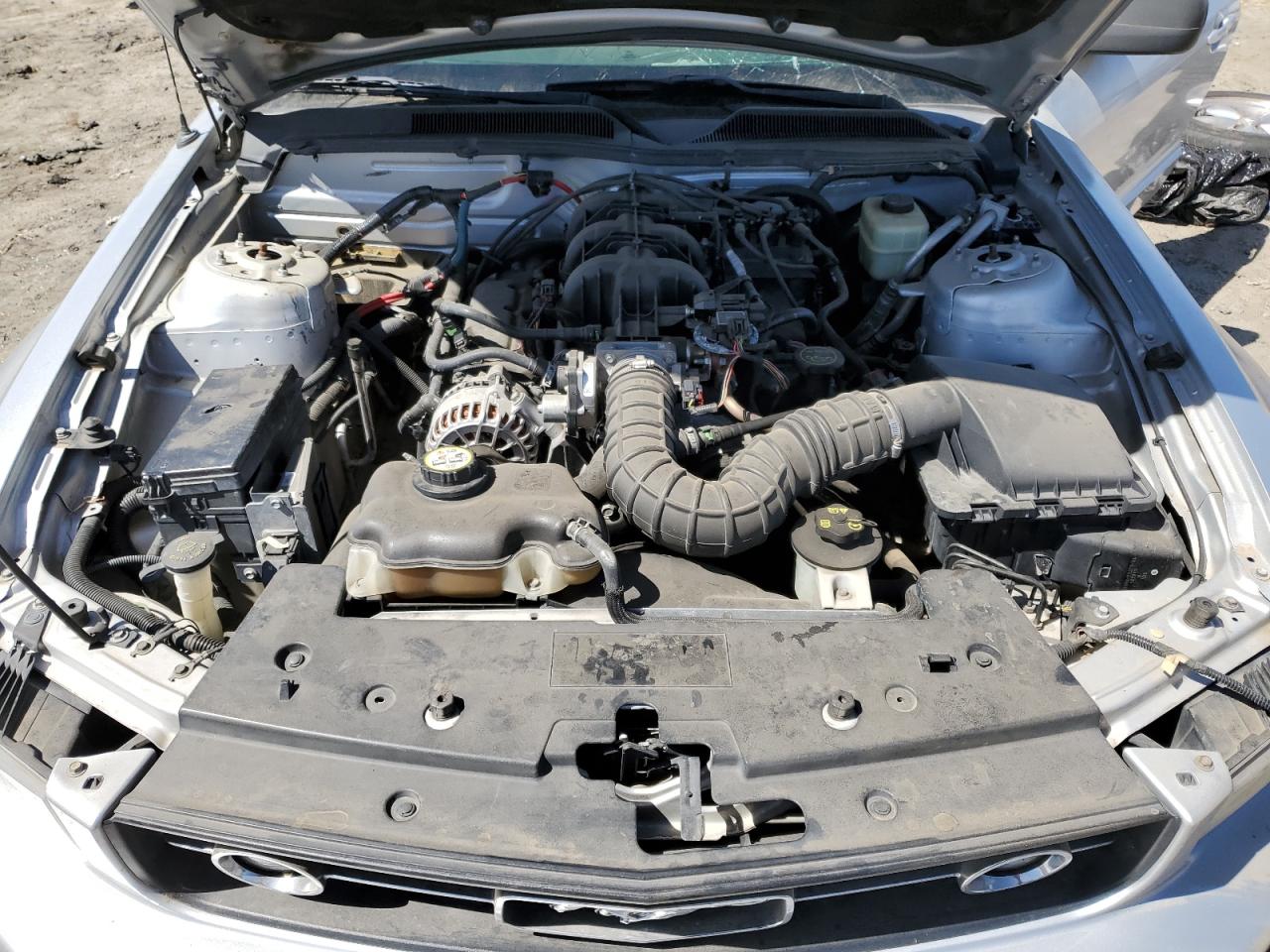 2008 Ford Mustang VIN: 1ZVHT80N485166165 Lot: 56489184