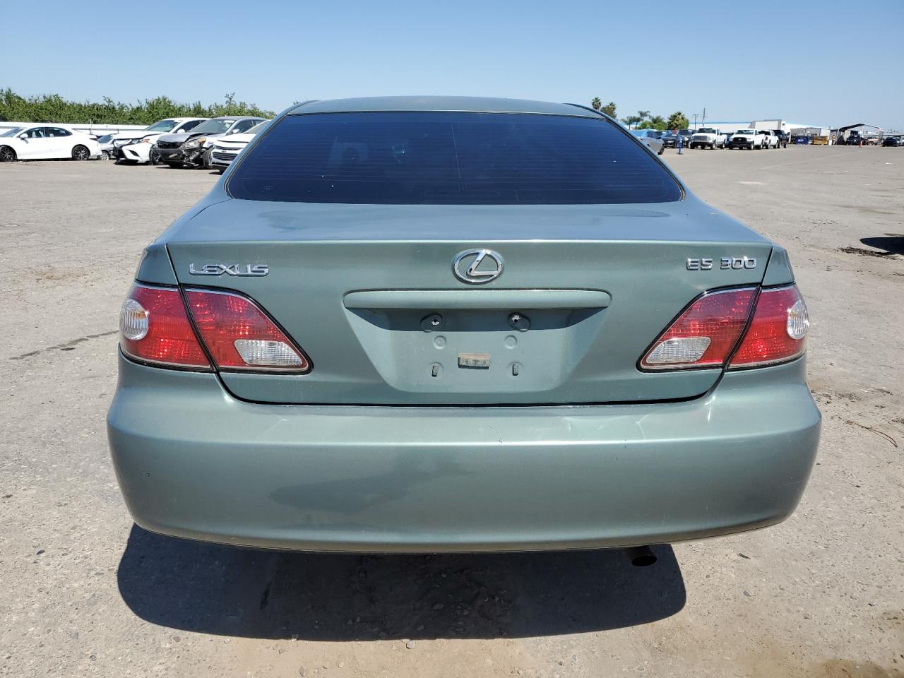 JTHBF30G025018895 2002 Lexus Es 300