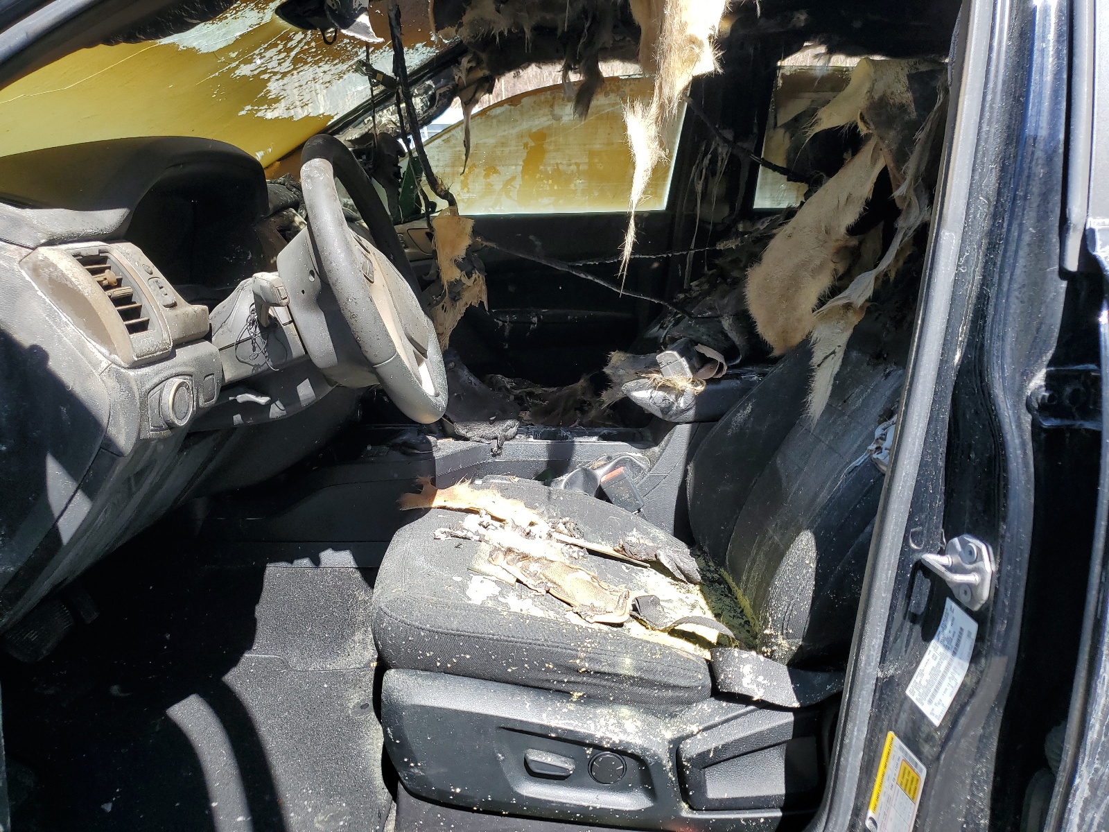 1FTER4FH5KLB17610 2019 Ford Ranger Xl